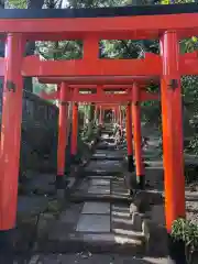 鹿児島神宮の末社