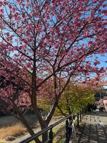 川津来宮神社の{uncategorized: "未分類", other: "その他", undefined: "問題あり", building: "その他建物", grave: "お墓", sacred_gate: "鳥居", guardian: "狛犬", statue: "像", buddha: "仏像", history: "歴史", nature: "自然", garden: "庭園", animal: "動物", pagoda: "塔", temizu: "手水舎", mountain_gate: "山門・神門", sanctuary: "本殿・本堂", subordinate: "末社・摂社", art: "芸術", scenery: "景色", jizo: "地蔵", ema: "絵馬", goshuin: "御朱印", omikuji: "おみくじ", items: "授与品その他", amulet: "お守り", goshuincho: "御朱印帳", eats: "食事", festival: "お祭り", votive_dance: "神楽", shichigosan: "七五三参", wedding: "結婚式", experience: "体験その他", initially: "初詣", around: "周辺", anti_infection: "感染症対策"}