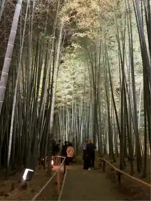 高台寺（高台寿聖禅寺・高臺寺）(京都府)