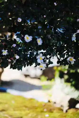 浄土寺(兵庫県)