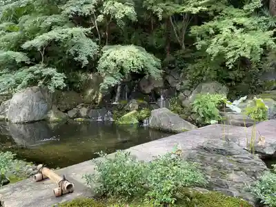 青松寺(東京都)