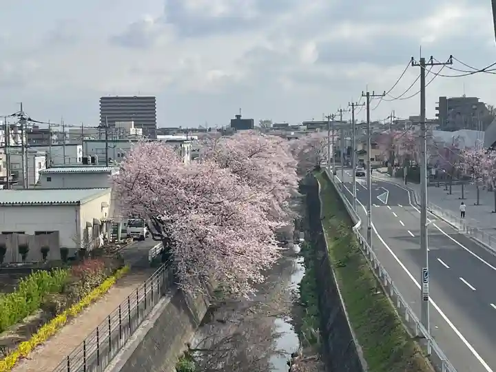 武蔵野坐令和神社の周辺