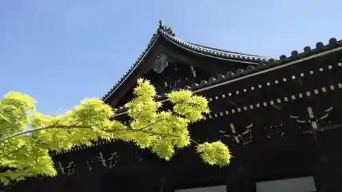 光明寺（粟生光明寺）のその他建物