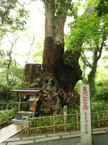 來宮神社(静岡県)