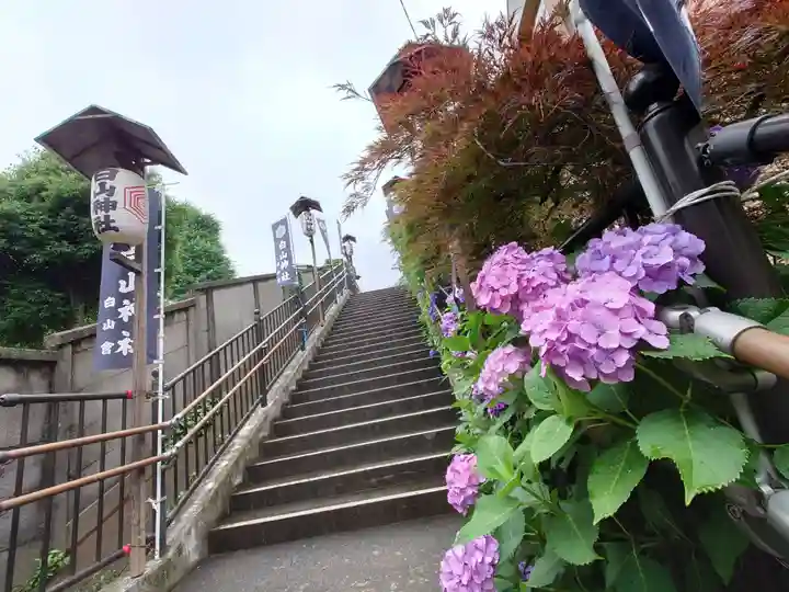 白山神社のその他建物
