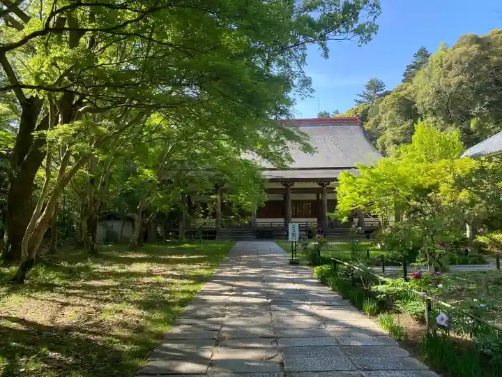 観心寺の{uncategorized: "未分類", other: "その他", undefined: "問題あり", building: "その他建物", grave: "お墓", sacred_gate: "鳥居", guardian: "狛犬", statue: "像", buddha: "仏像", history: "歴史", nature: "自然", garden: "庭園", animal: "動物", pagoda: "塔", temizu: "手水舎", mountain_gate: "山門・神門", sanctuary: "本殿・本堂", subordinate: "末社・摂社", art: "芸術", scenery: "景色", jizo: "地蔵", ema: "絵馬", goshuin: "御朱印", omikuji: "おみくじ", items: "授与品その他", amulet: "お守り", goshuincho: "御朱印帳", eats: "食事", festival: "お祭り", votive_dance: "神楽", shichigosan: "七五三参", wedding: "結婚式", experience: "体験その他", initially: "初詣", around: "周辺", anti_infection: "感染症対策"}