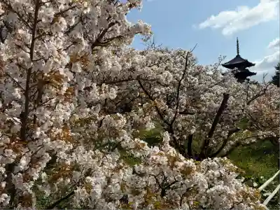 仁和寺(京都府)