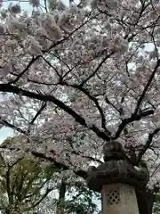 富士山本宮浅間大社の自然