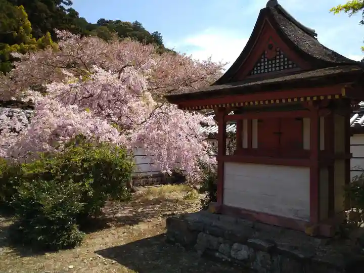 金剛寺(大阪府)