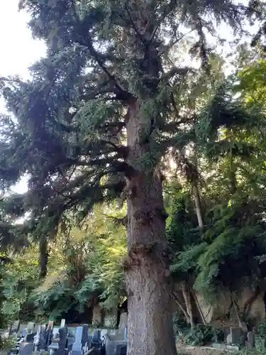 天麟院(宮城県)
