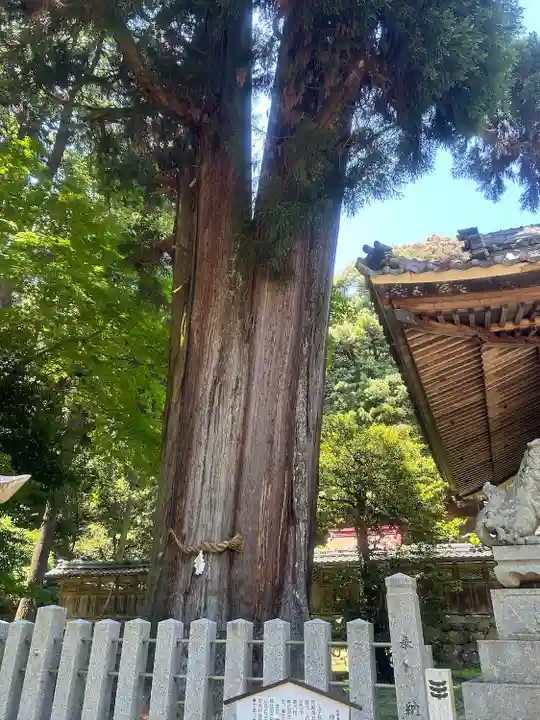 伊富岐神社(岐阜県)