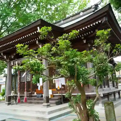 熊野福藏神社の本殿・本堂