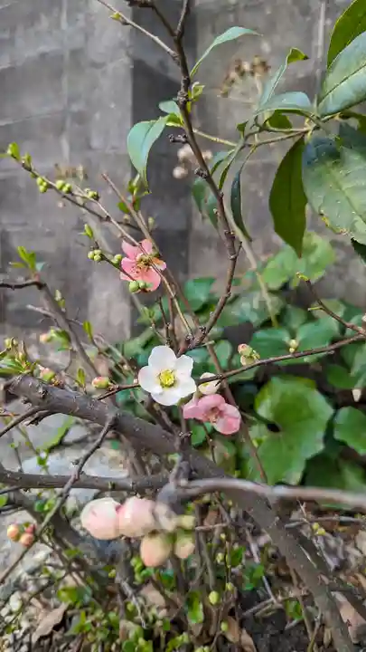 後白河院御聖蹟 法住寺(京都府)