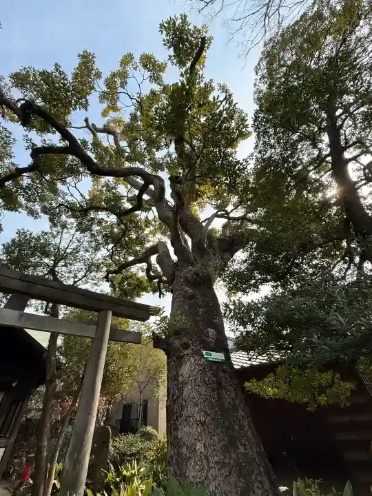 鹿嶋神社の{uncategorized: "未分類", other: "その他", undefined: "問題あり", building: "その他建物", grave: "お墓", sacred_gate: "鳥居", guardian: "狛犬", statue: "像", buddha: "仏像", history: "歴史", nature: "自然", garden: "庭園", animal: "動物", pagoda: "塔", temizu: "手水舎", mountain_gate: "山門・神門", sanctuary: "本殿・本堂", subordinate: "末社・摂社", art: "芸術", scenery: "景色", jizo: "地蔵", ema: "絵馬", goshuin: "御朱印", omikuji: "おみくじ", items: "授与品その他", amulet: "お守り", goshuincho: "御朱印帳", eats: "食事", festival: "お祭り", votive_dance: "神楽", shichigosan: "七五三参", wedding: "結婚式", experience: "体験その他", initially: "初詣", around: "周辺", anti_infection: "感染症対策"}