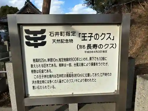 王子神社(徳島県)