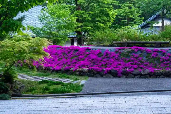 彌彦神社の自然