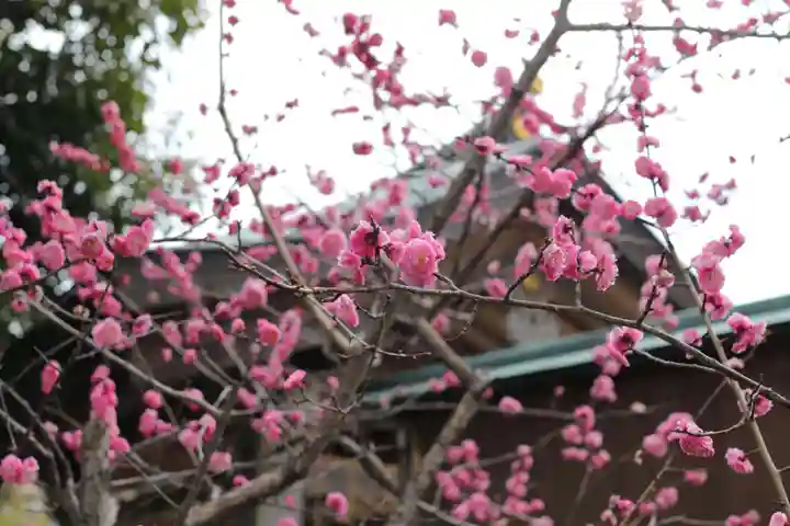 伊和志津神社の自然