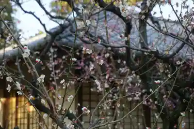 七尾神社の周辺