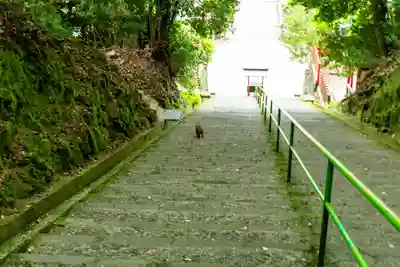 新田神社(鹿児島県)