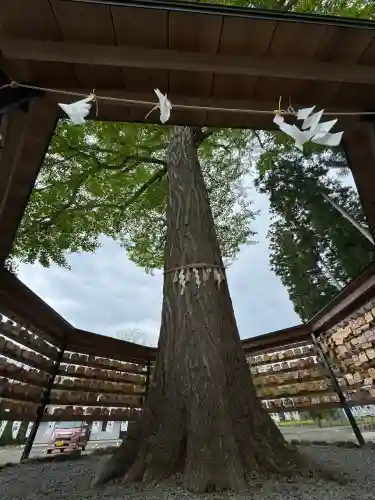 秋保神社(宮城県)