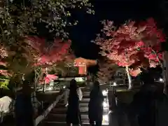 東福禅寺（東福寺）(京都府)