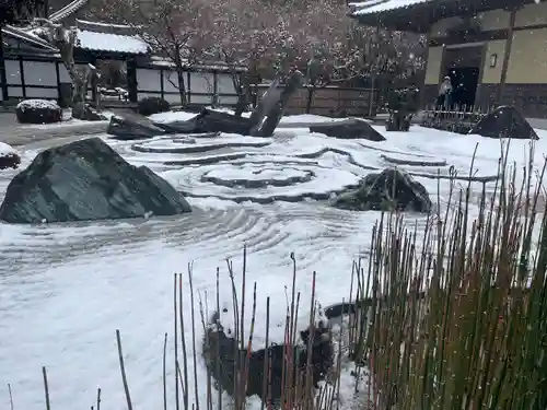 圓光寺の庭園