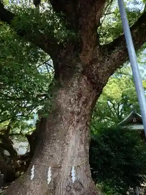 八柱神社(愛知県)