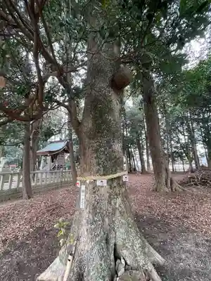 西之宮神社(滋賀県)