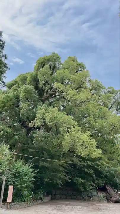 與止日女神社(佐賀県)