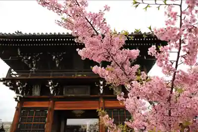 頂妙寺の山門・神門