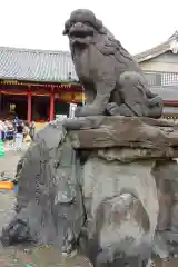 浅草神社の狛犬