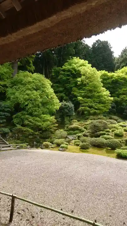 萬徳寺の庭園