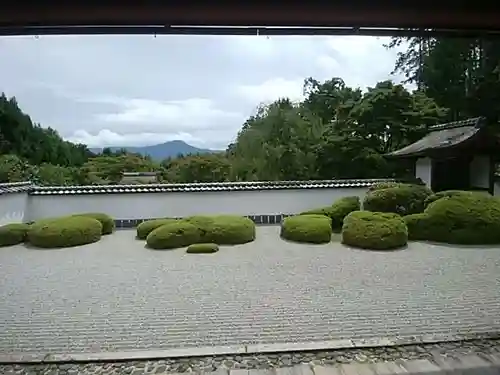 正伝護国禅寺(正伝寺･正傳寺)の庭園