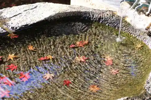 鹿島大神宮の手水