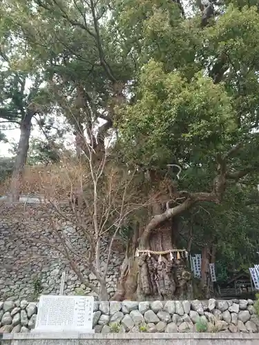 長島神社の自然