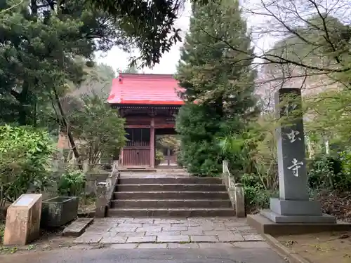 松虫寺の山門