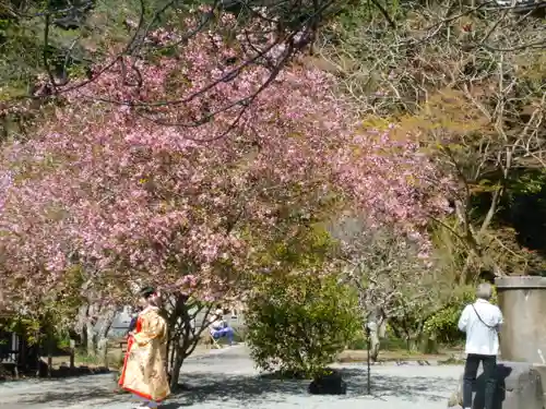 妙本寺の景色