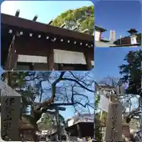 伊勢山皇大神宮(神奈川県)