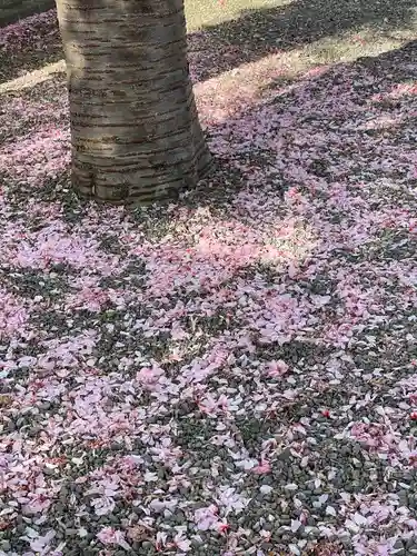 北海道神宮頓宮の庭園