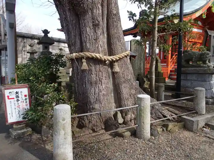 銚港神社の自然