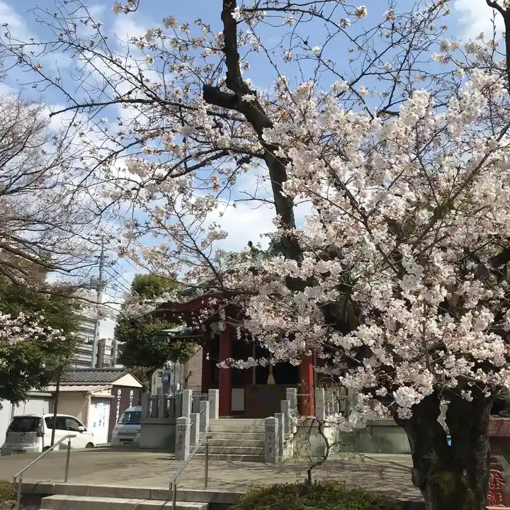 木場 洲﨑神社の自然