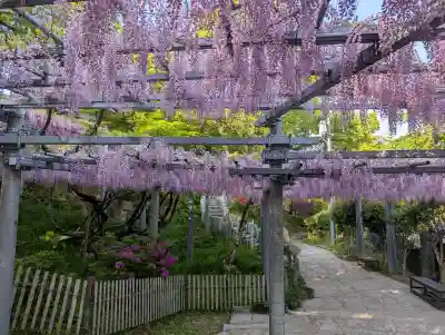 阿智神社(岡山県)