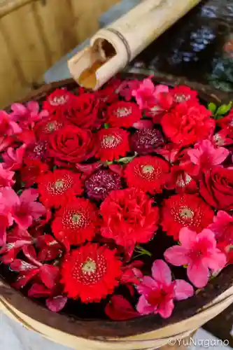 野見神社(大阪府)