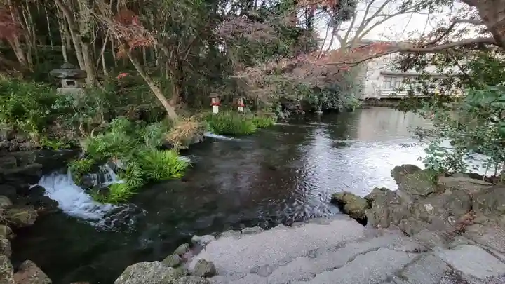 富士山本宮浅間大社(静岡県)