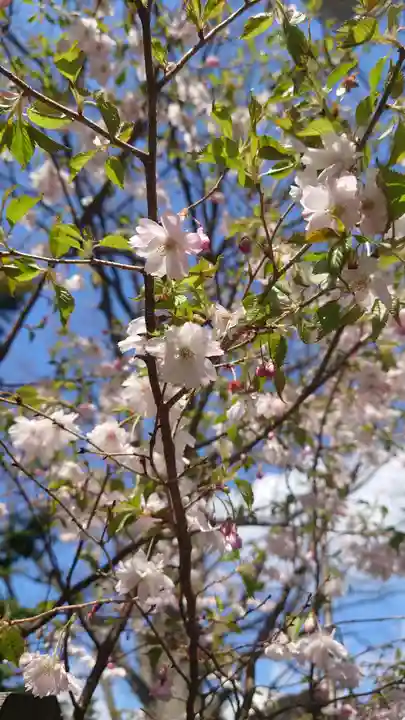 相馬神社(北海道)