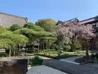 正定聚院等覚寺(茨城県)