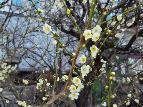 御霊神社(大阪府)