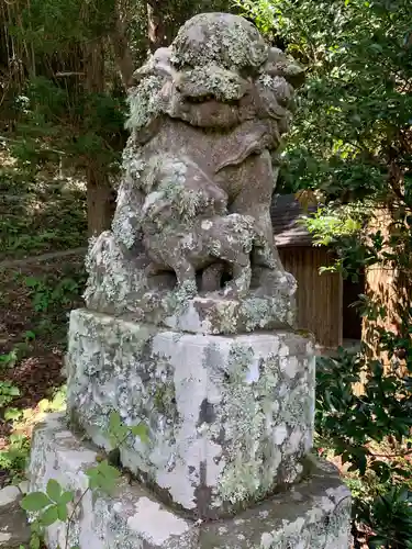 八幡神社の狛犬