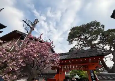 金剛寺(八坂庚申堂)の自然
