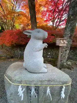 出雲大神宮(京都府)